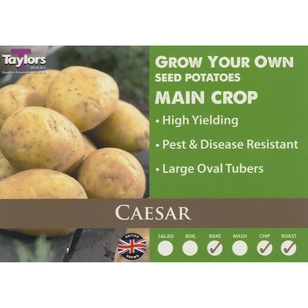 Potato Caesar 35-55 2Kg