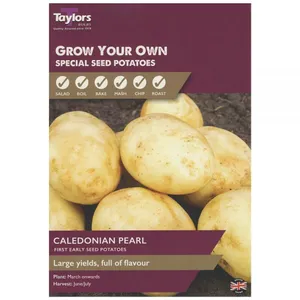 POTATO CALEDONIAN PEARL 35-55 P/P