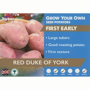 Potato Carripack Red Duke Of York 35-60 2Kg