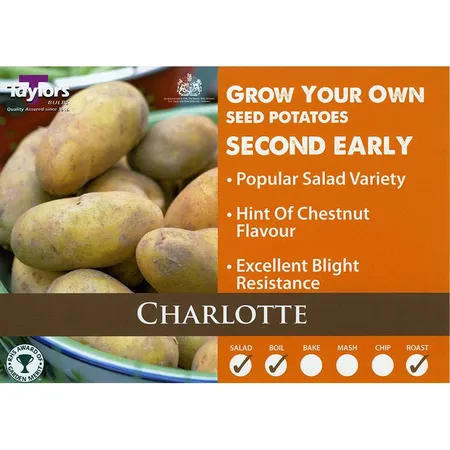 POTATO CHARLOTTE 35-60 2KG