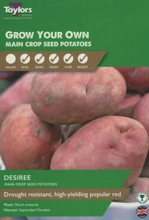 POTATO DESIREE 35-45 P/P