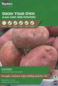 POTATO DESIREE 35-45 P/P