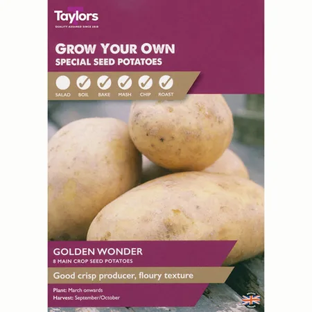 POTATO GOLDEN WONDER 30-45