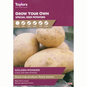 POTATO GOLDEN WONDER 30-45
