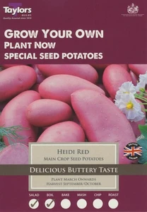 Potato Heidi Red 30-45 P/P