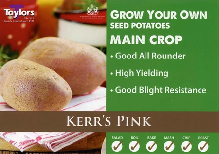 POTATO KERR'S PINK 35-55 2KG