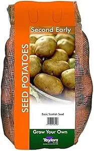 POTATO MARIS PIPER 35-60 2KG