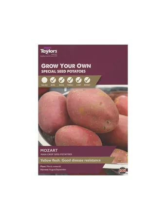 POTATO MOZART 30-45 P/P