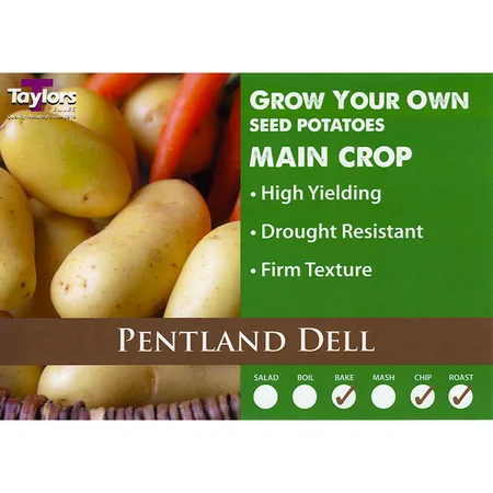 POTATO PENTLAND DELL 35-60 2KG
