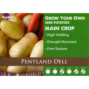 POTATO PENTLAND DELL 35-60 2KG