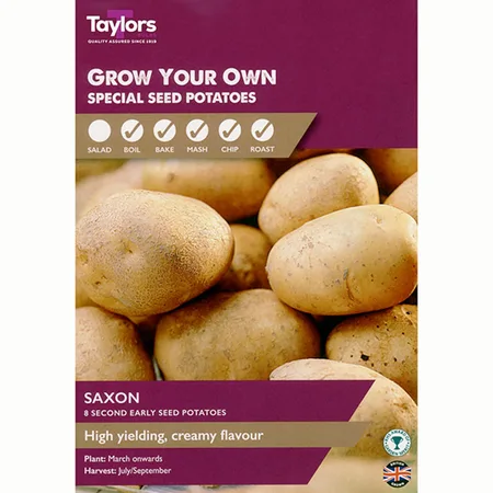 POTATO SAXON 35-45