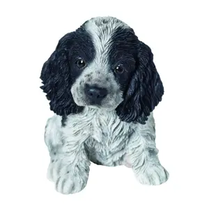 PP Black/White Cocker Spaniel Pup