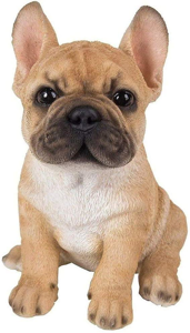 PP French Golden Bulldog F