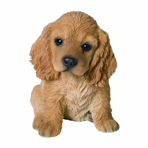 PP Golden Cocker Spaniel Pup