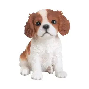 PP King Charles Puppy F Box/4