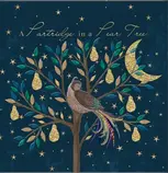 Premium Boxes - Partridge In A Pear Tree - image 1