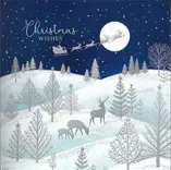 Premium Boxes - Snowy Scene - image 1