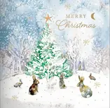 Premium Boxes - Snowy Tree - image 1