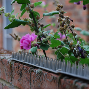 Prickle Fence Toppers Pack of 6 - image 2