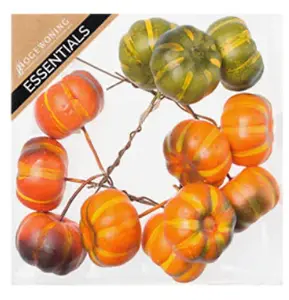 Pumpkins on Wire in Box 4cm
 
 Multicolour