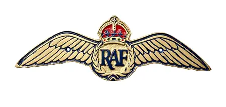 RAF Cast Aluminium Plaque - RAF Wings