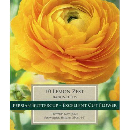 Ranunculus Lemon Zest 5-6 P/P