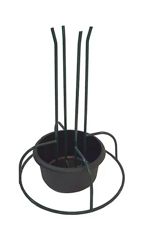 Rapid Stand - Small - Dark Green
