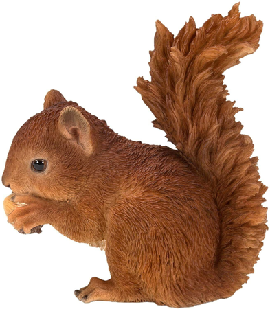 Real Life Baby Red Squirrel F - image 1