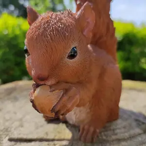 Real Life Baby Red Squirrel F - image 2