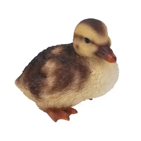 Real Life Squatting Duckling