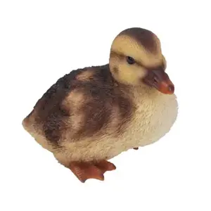 Real Life Squatting Duckling