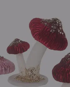 RED MUSHROOMS