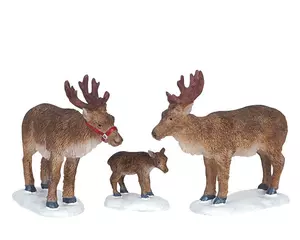 REINDEER, SET OF 3