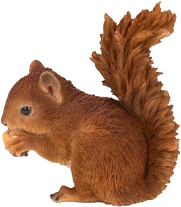RL Baby Red Squirrel