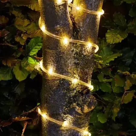 Rope Light - 100 LEDs - image 1