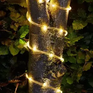 Rope Light - 100 LEDs - image 1