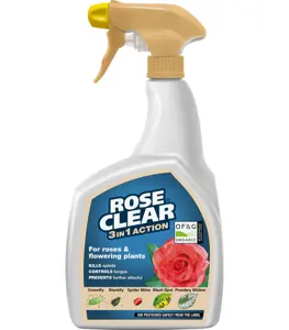 Roseclear 3 In1 Ready To Use Gun 800ml