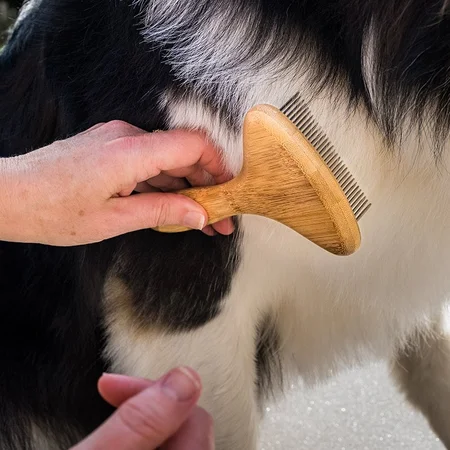 Rotating Rake - Fine Tooth - 31 Teeth - image 2