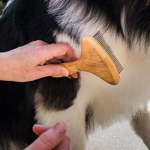 Rotating Rake - Fine Tooth - 31 Teeth - image 2