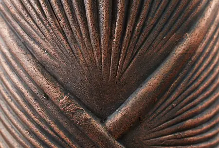 Serene Lady - image 4