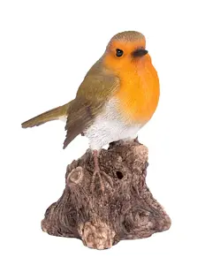 Singing Robin on Stump