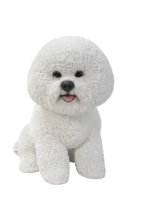 Sitting Bichon Frise