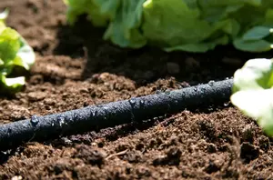 Soaker Hose - image 2