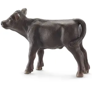 - sp BLACK  ANGUS CALF