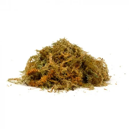 Sphagnum Moss Jumbo