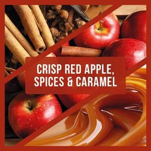 Spiced Apple Tealights – Pack of 9 - image 2