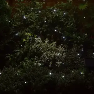 50 Cool White LEDs - image 1