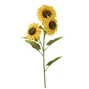 Sunflower Branch