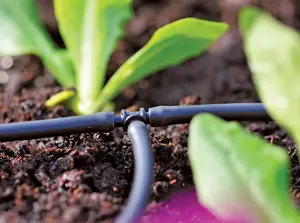 T Piece 4mm (12 pack) - image 2