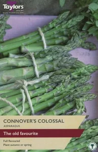 Asparagus Connover'S Colossal P/P